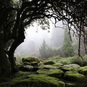 Meet your Posher, Janie